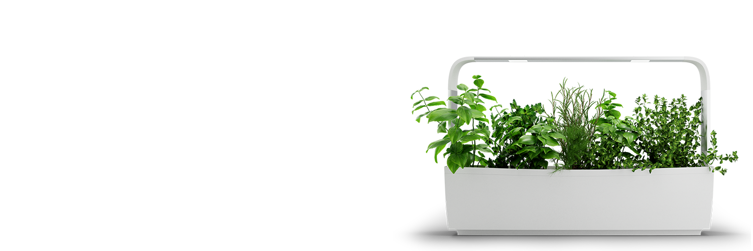 6756-store_banner_others